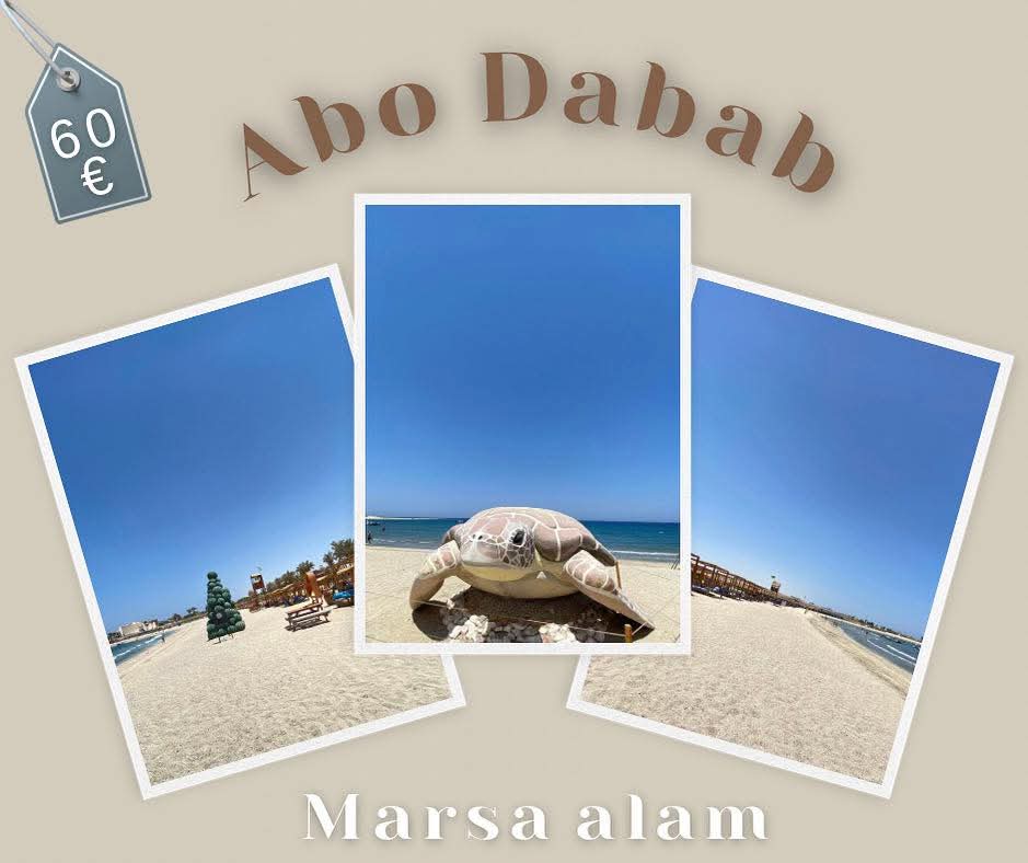 ✨ Abu Dabbab - Marsa Alam Trip ✨