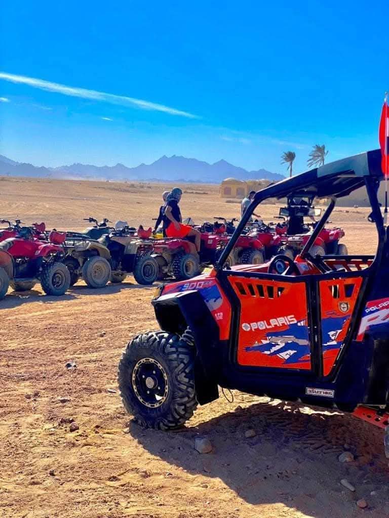 🏜️ Beach Buggy Safari